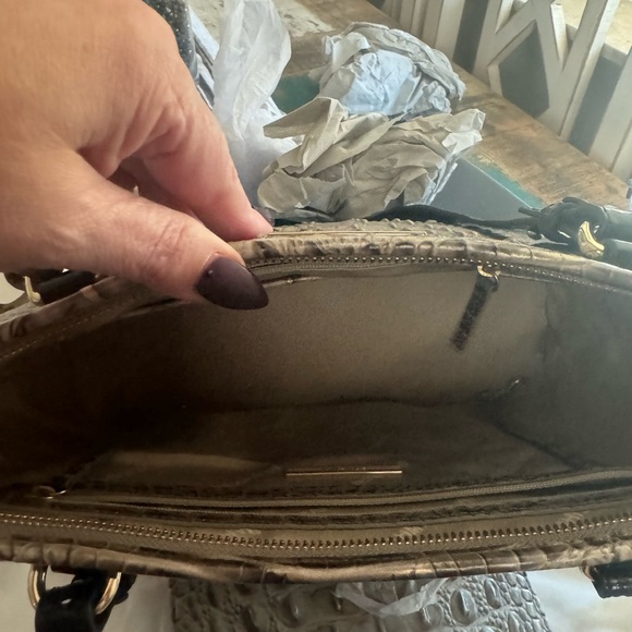 Brahmin medium Asher - Picture 3 of 4